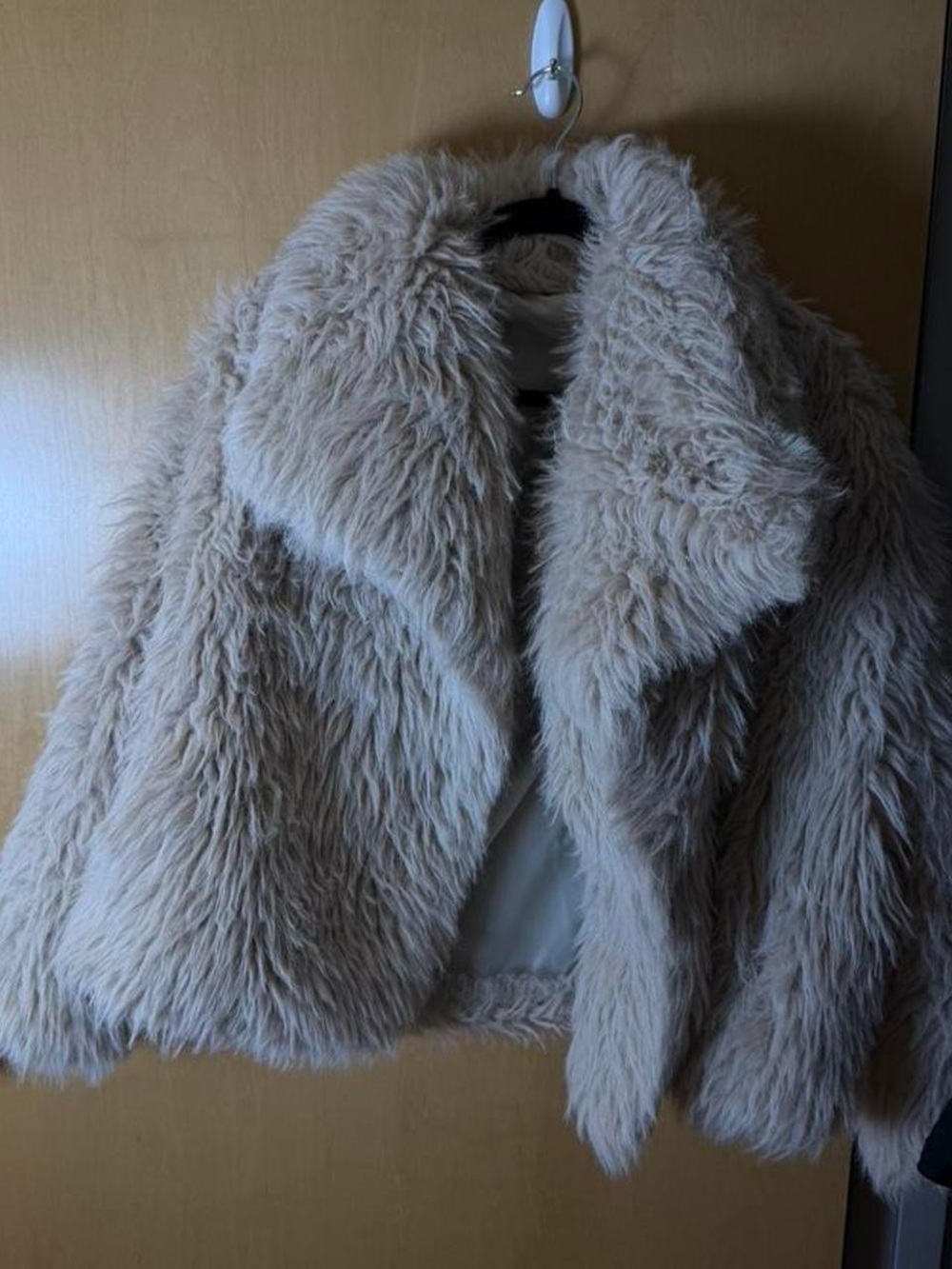 Plush Teddy Jacket in Beige - Women's Cozy Faux Fur Coat - Picture 5 of 6